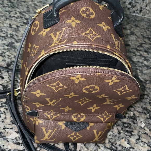 Authentic Louis Vuitton Palm Springs mini - Picture 8 of 16